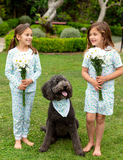 Daisy Dog Bandana