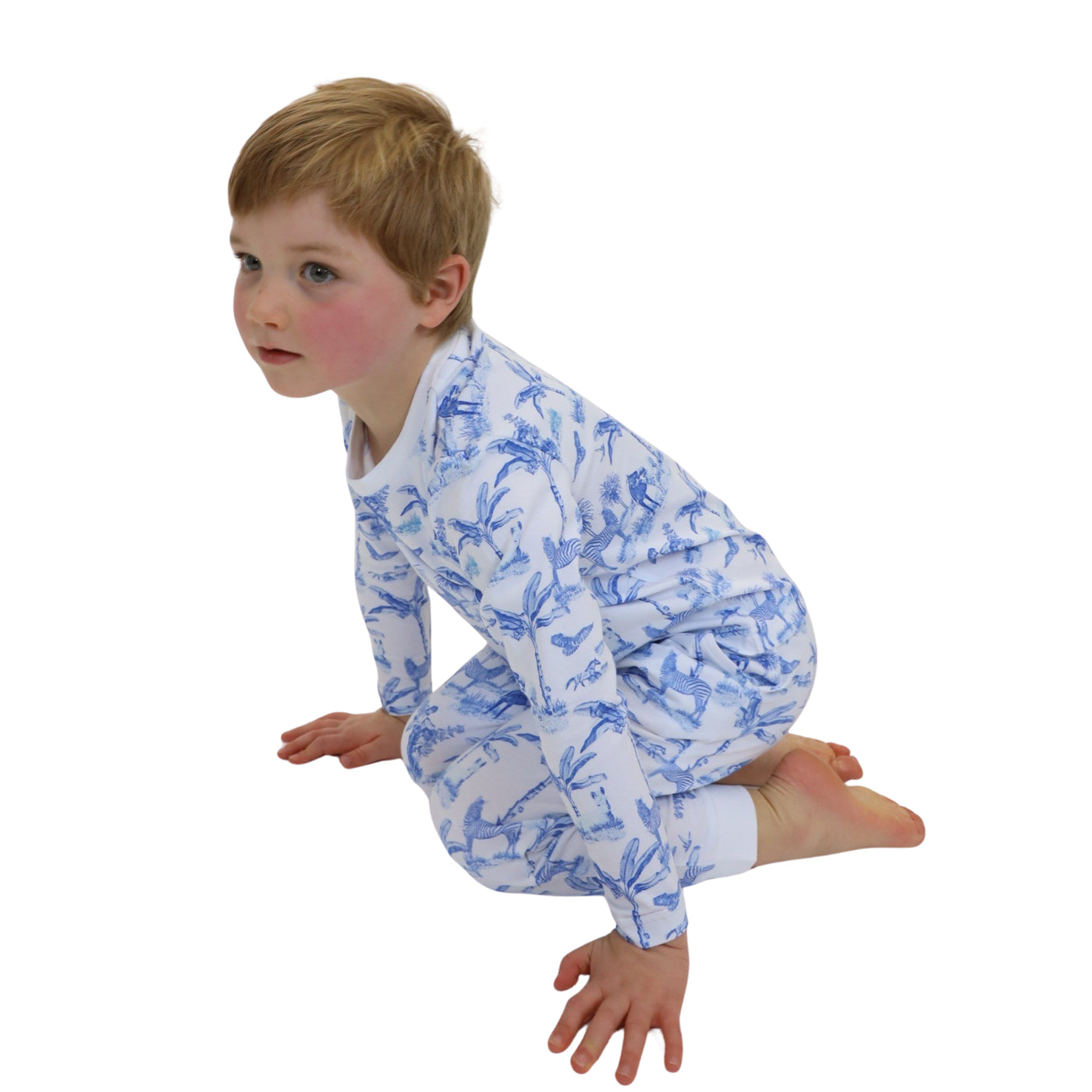 Kids Skydog Blue Toile Long PJ Set