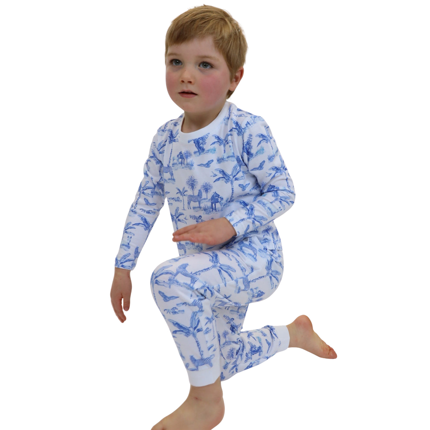 Kids Skydog Blue Toile Long PJ Set