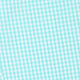 Men's Mint Gingham PJ Pants